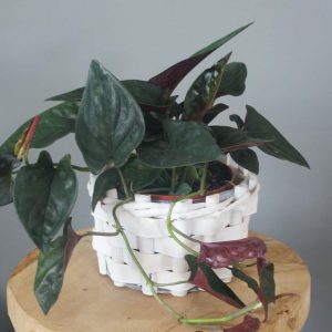 Osłonka/koszyk na doniczkę Ø 12cm.