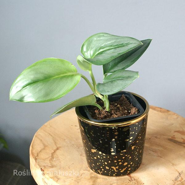 Osłonka ceramiczna Ø 9,5 cm.