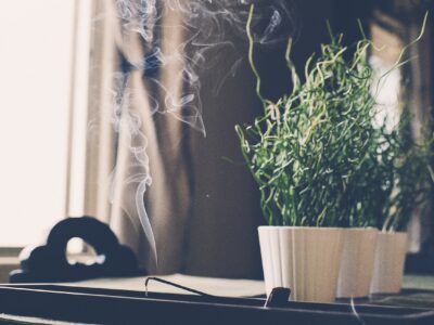 blog