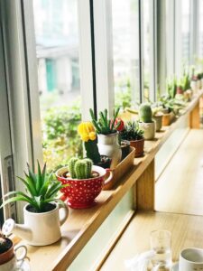blog