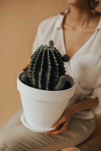 blog