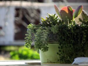 blog