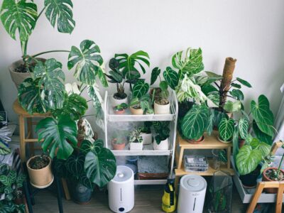 blog