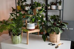 blog