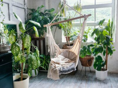 blog