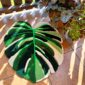 Dywan Monstera - tufting