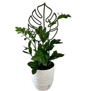 Podpórka do roślin Monstera