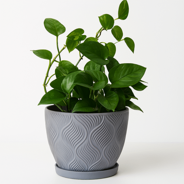 Doniczka z podstawką Ø 18cm. Doniczka z podstawką Ø 18cm.