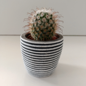 Osłonka cementowa Ø 5,5cm.