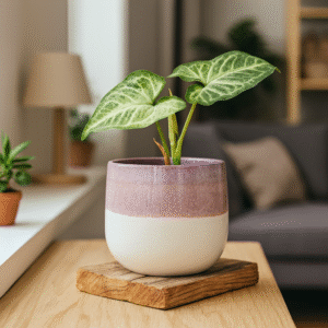 Osłonka ceramiczna Ø 10cm.