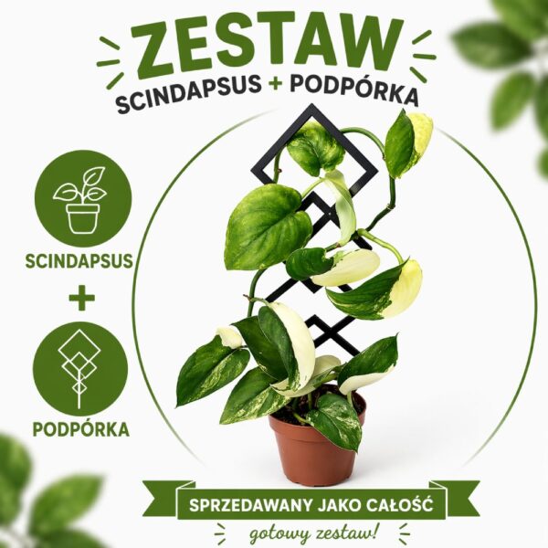 Jade Satin + podpora Jade Satin + podpora