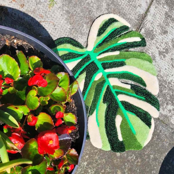 Dywan monstera variegata 54x47