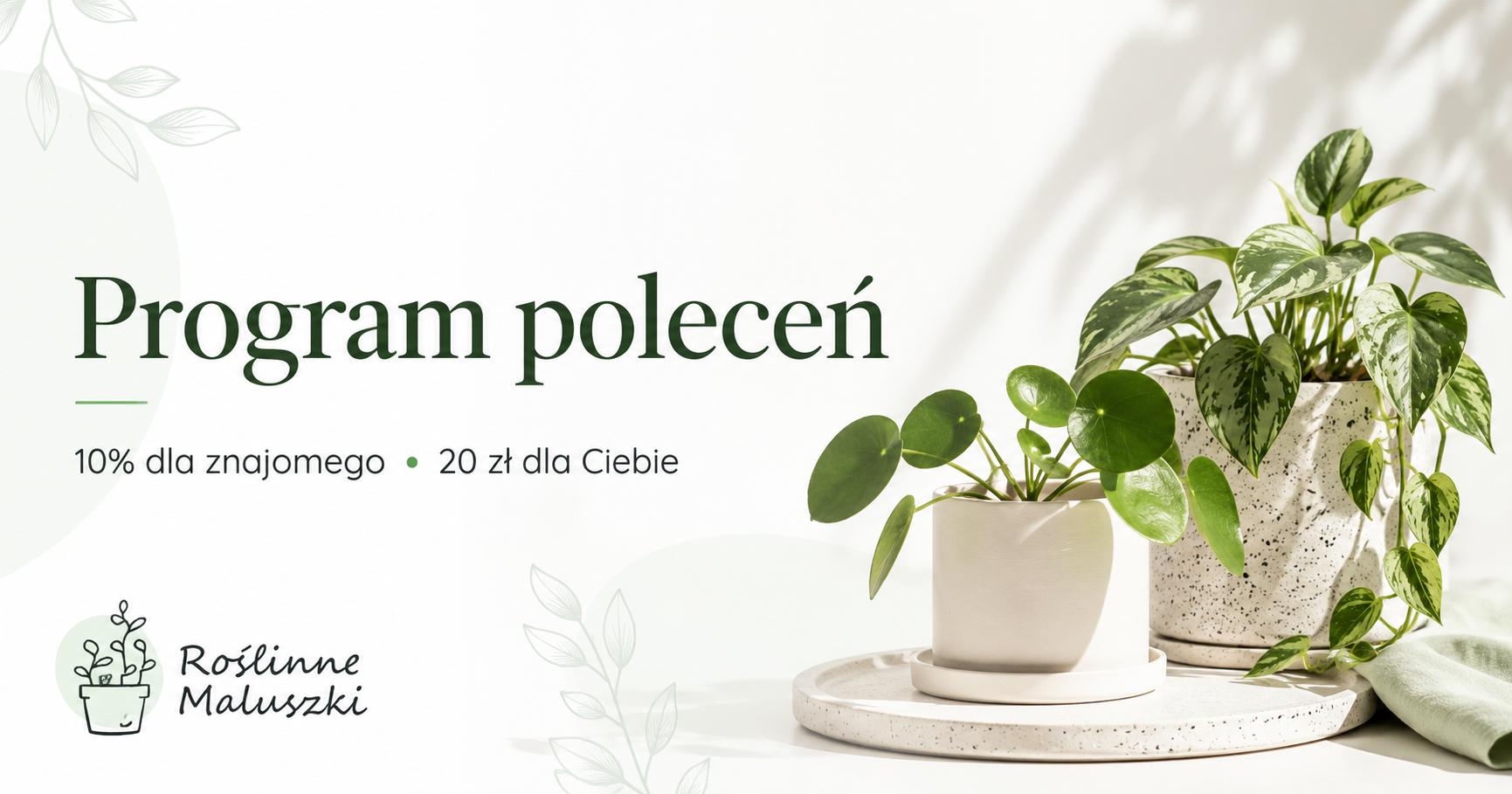 Regulamin programu poleceń Roślinne Maluszki